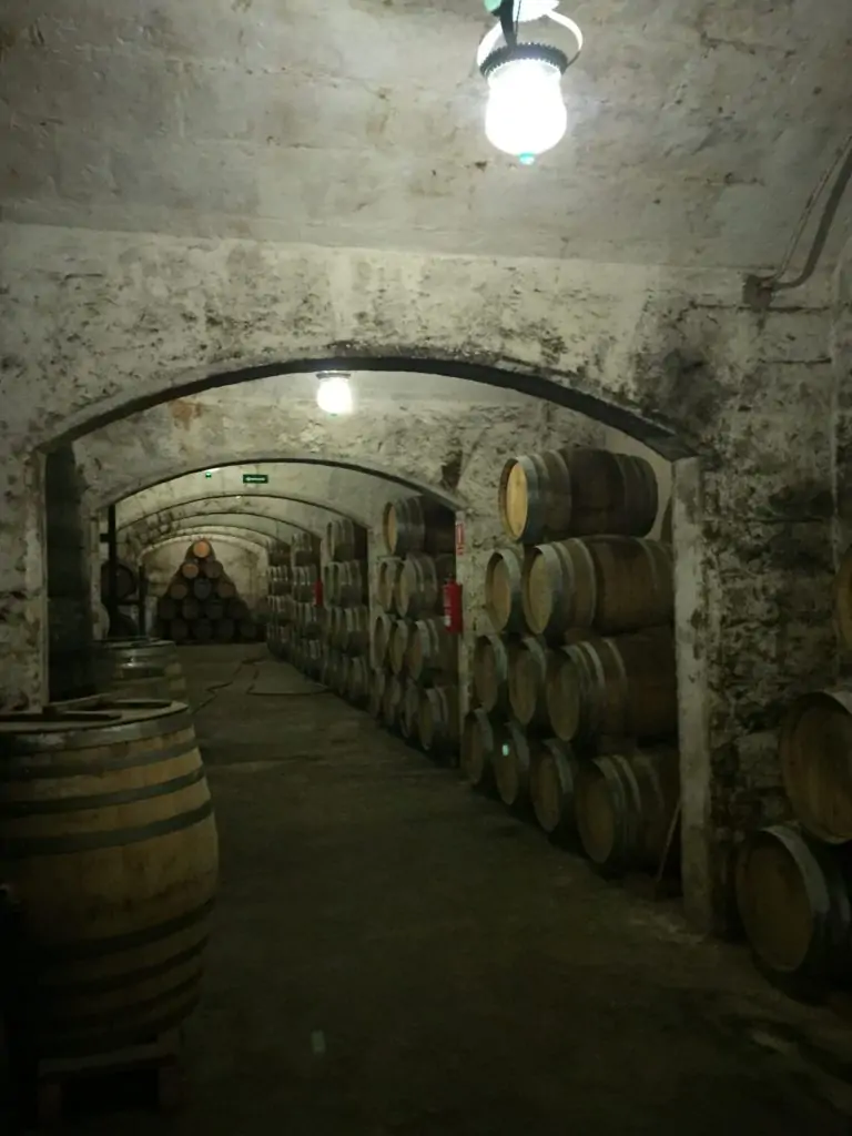 BODEGAS SUAU, UNA HISTÒRIA QUE ES REMUNTA AL 1851: ‘TEMPUS EST AMICUS MEUS’