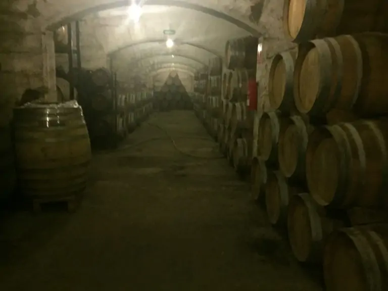 BODEGAS SUAU, UNA HISTORIA QUE SE REMONTA A 1851: ‘TEMPUS EST AMICUS MEUS’