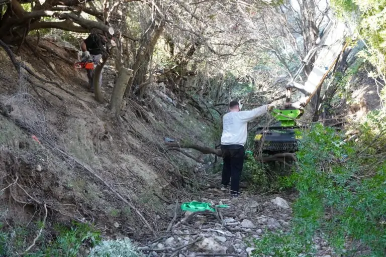 El Ayuntamiento limpia 600 metros del torrente de Coanegra para mejorar la circulación del agua y evitar tapones