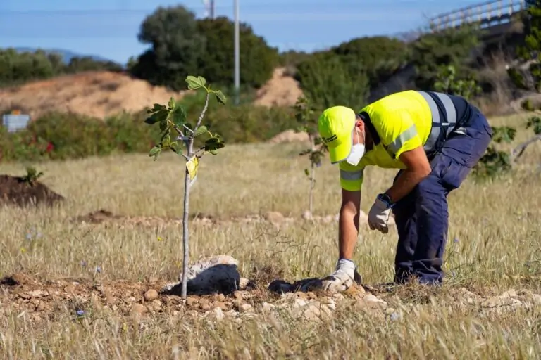 La limpieza de los ecosistemas y la movilidad sostenible centran la Diada del Medio Ambiente de Marratxí