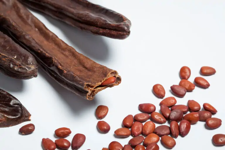 Carob, el secret més preuat de la indústria alimentària ‘es cuina’ a Marratxí