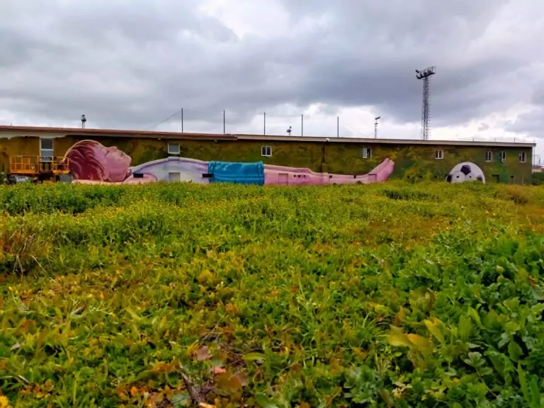 Joan Aguiló firma un nuevo mural en el Campo de Fútbol Sa Nova Cabana