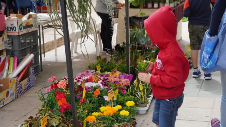 El Mercat de Primavera, molt ben acollit pels ciutadans de Marratxí